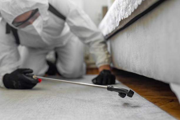 Professional Mosquito Control technician working in Lakeland North, WA