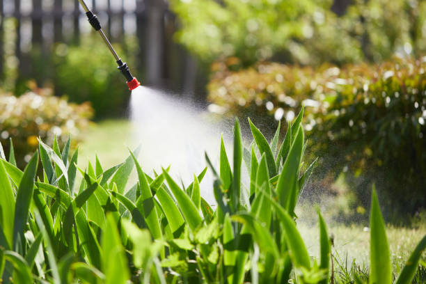 24/7 Emergency Mosquito Control experts in Lakeland North, WA