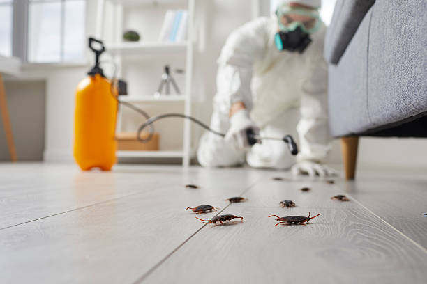 Trusted Rodent Control service in Lakeland North, WA - Nex Pest Control