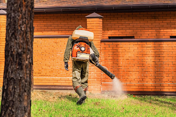 Trusted Emergency Pest Control service in Lakeland North, WA - Nex Pest Control